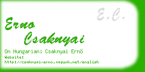 erno csaknyai business card