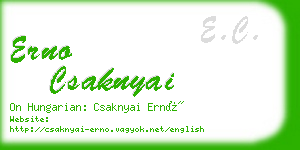 erno csaknyai business card